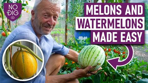 melonstubw|Melons Porn Movies